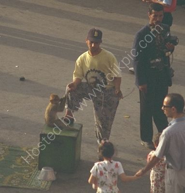 Monkey Handler, Place Jemaa el-Fna, Marrakech